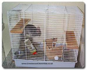 Large Aviary type cage